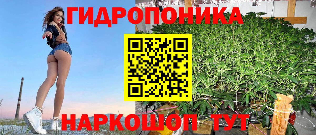 Конопля семена  Вход с VPN  Шишки марихуана VHQ  Бошки Шишки Bruce Banner  Сосновый Бор 
